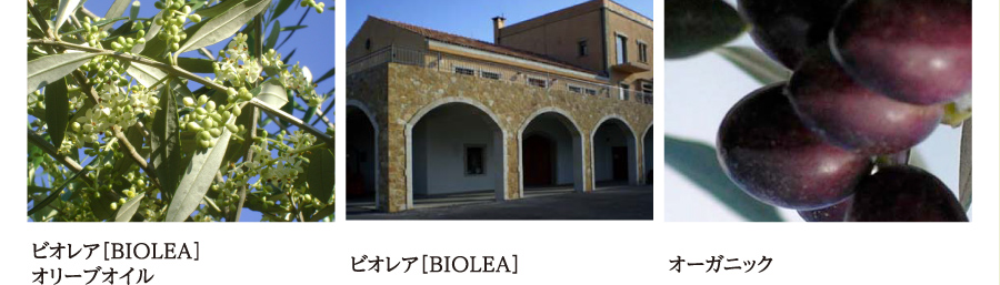 rIAɂ[ABOUT BIOLEA]